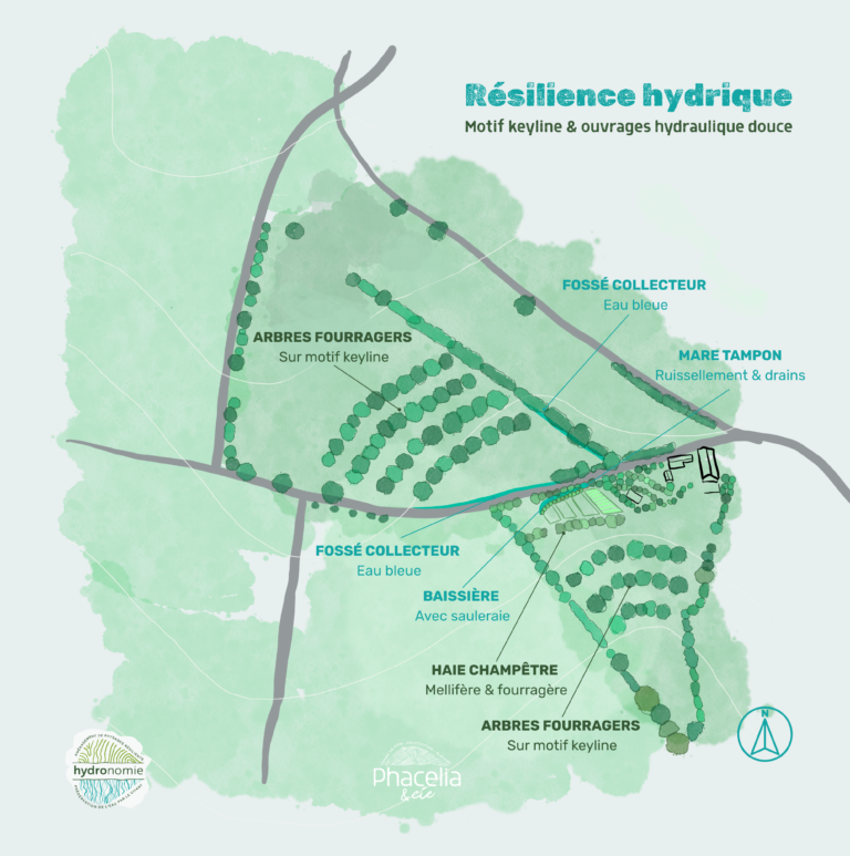 Amenagement hydronomie à la ferme Phacelia & cie