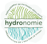 Hydronomie